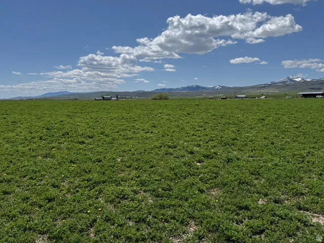 View of grassy yard featuring a mountain view and a view of countryside