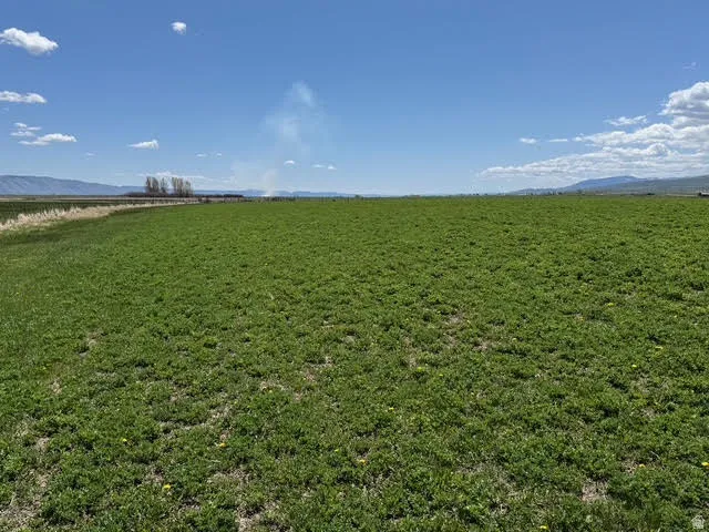 View of grassy yard featuring a view of rural / pastoral area, a mountain view, and agricultural area