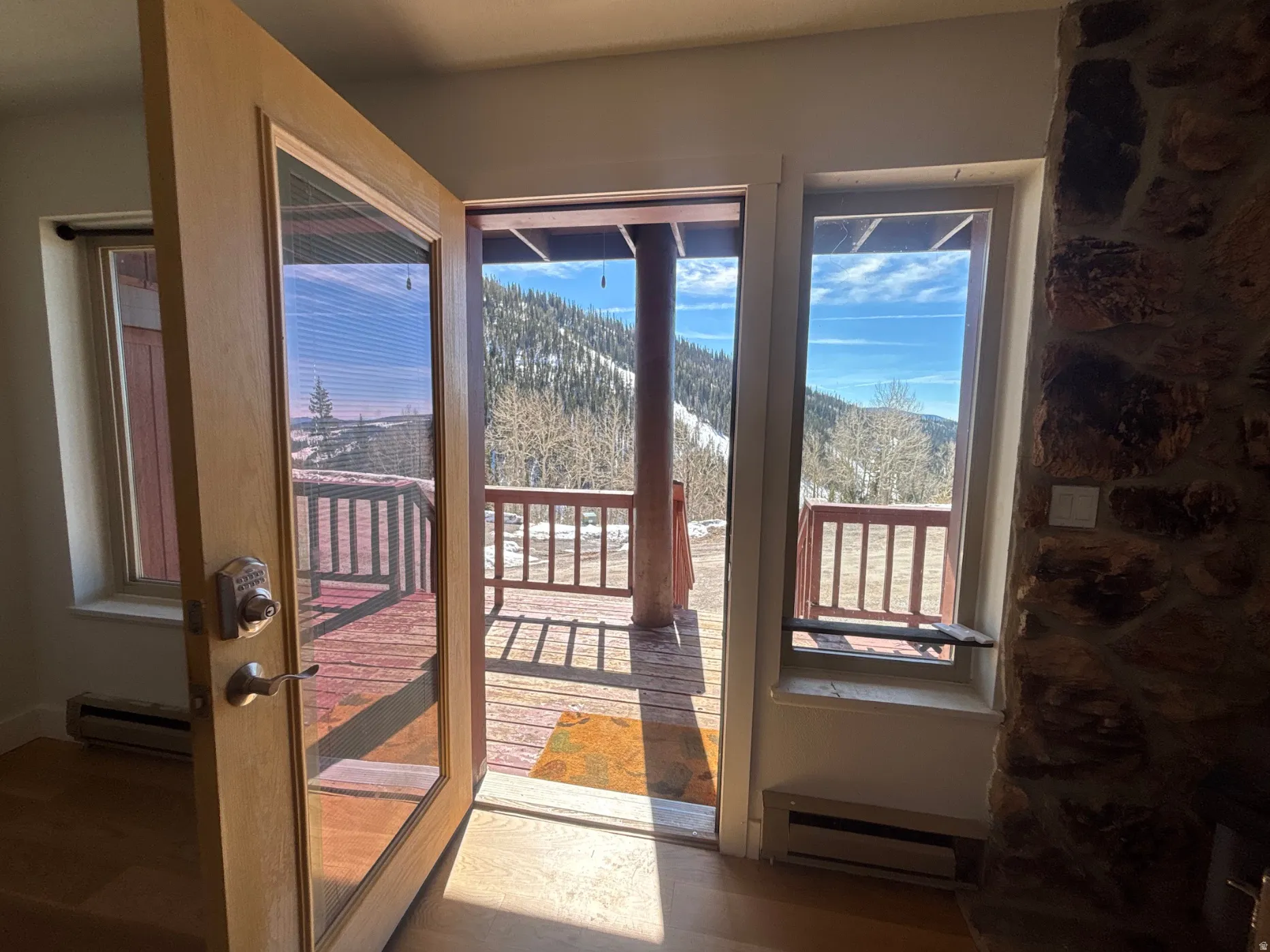 Entryway with a baseboard radiator, a baseboard heating unit, wood finished floors, and a mountain view