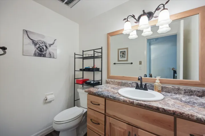 Bathroom featuring vanity and hanging lights