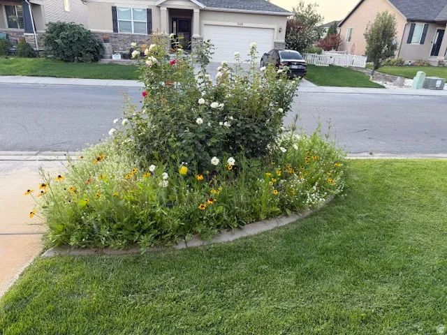 Exterior view of driveway