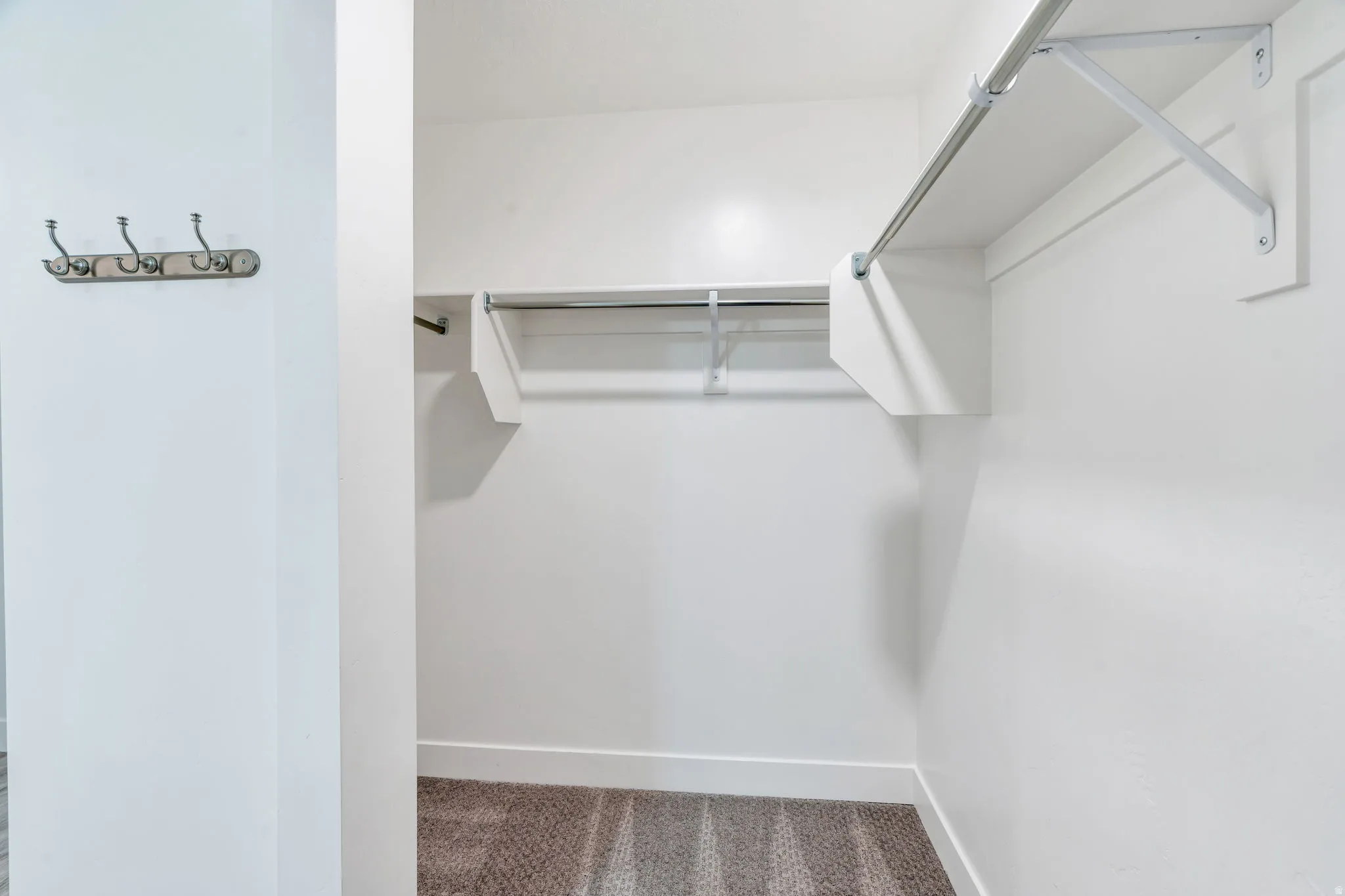Walk in closet featuring carpet