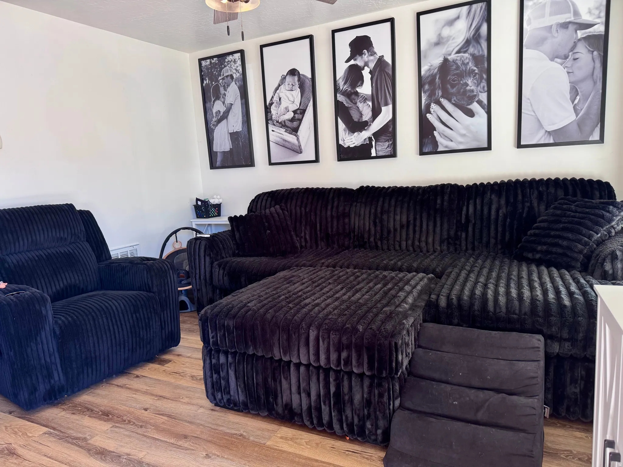 Living room featuring wood finished floors and a ceiling fan