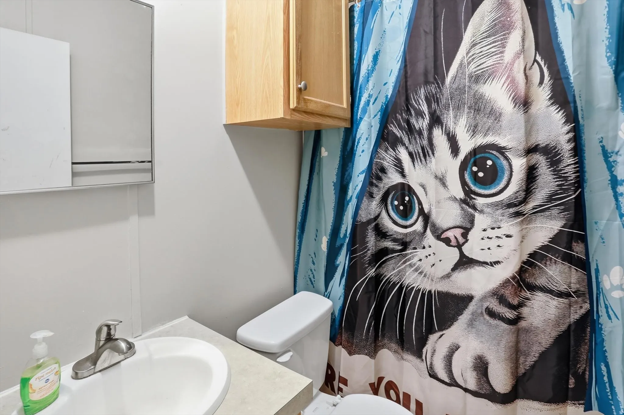 Bathroom with vanity and curtained shower