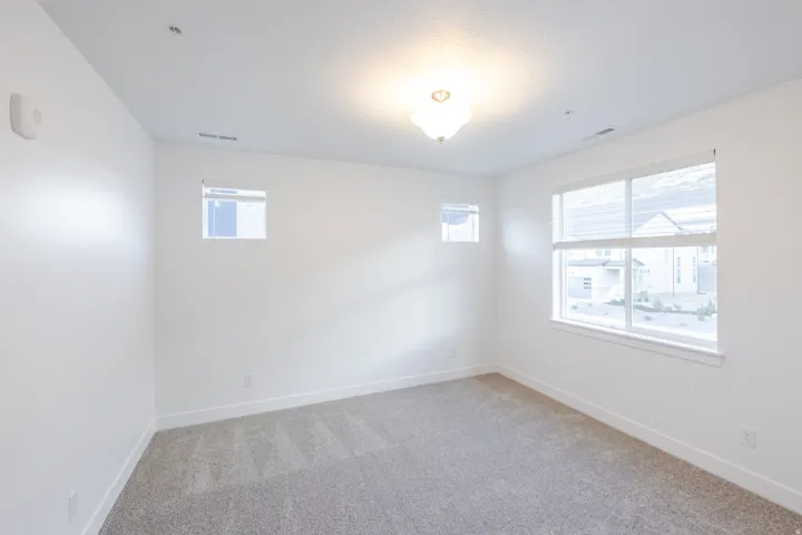 Plush carpet flooring, multiple windows, and a ceiling-mounted light fixture