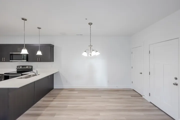 Kitchen featuring dark cabinetry, stainless steel appliances, white countertops, and wood-finish flooring
