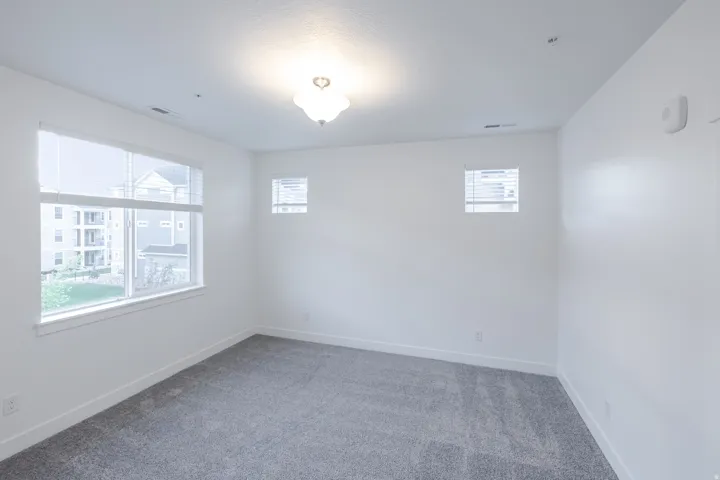 Neutral wall paint, gray carpet flooring, multiple windows with blinds, and an overhead flush mount light fixture