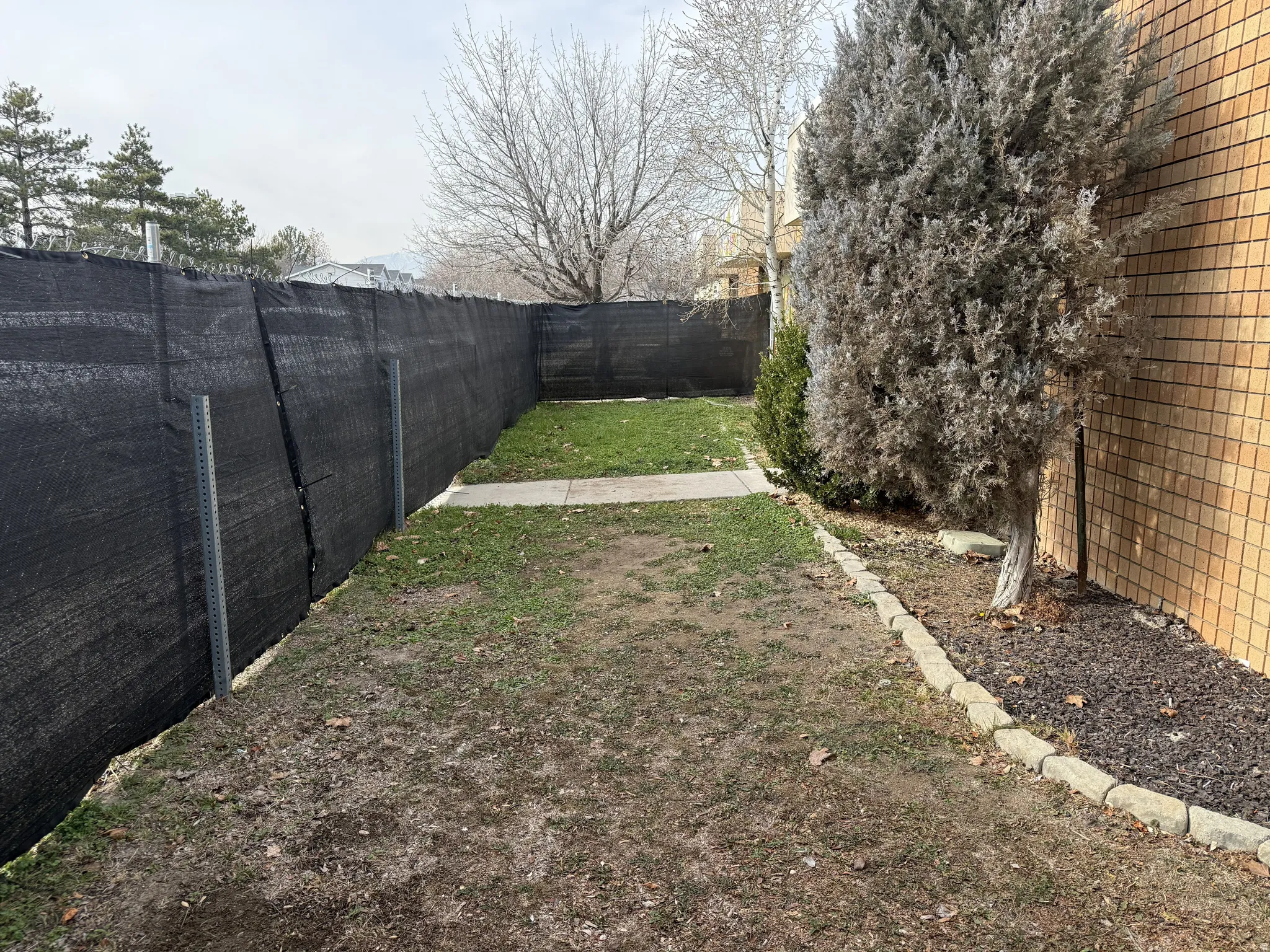 View of fenced backyard