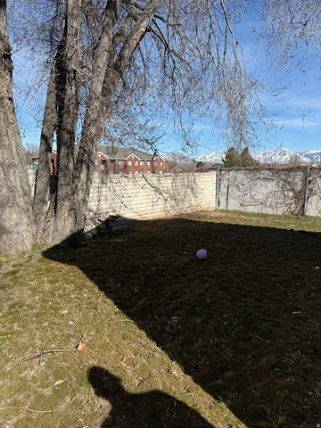 View of fenced backyard