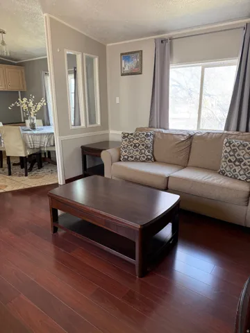 Living room featuring a textured ceiling and dark wood-style floors