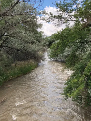 Water view