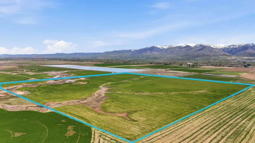 Expansive agricultural land featuring verdant fields with visible crop rows, surrounded by additional cultivated areas