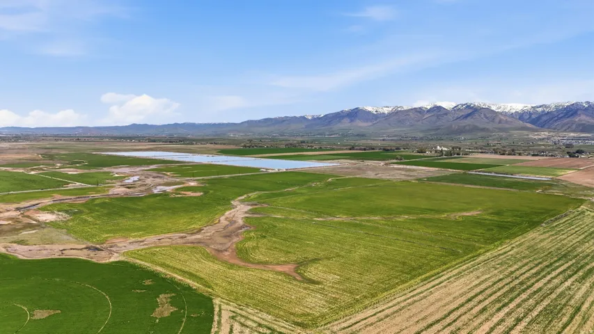 Expansive agricultural landscape featuring green fields, a body of water, and distant snow-capped mountains