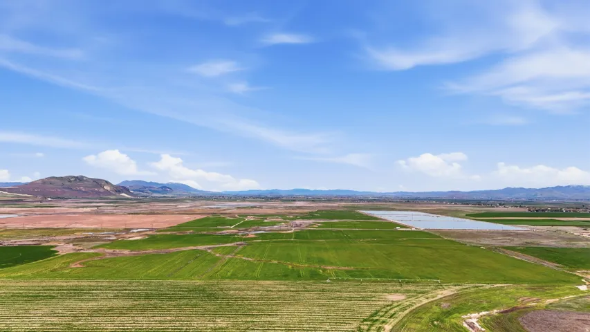 Expansive agricultural landscape featuring green fields, a significant body of water, and distant mountains