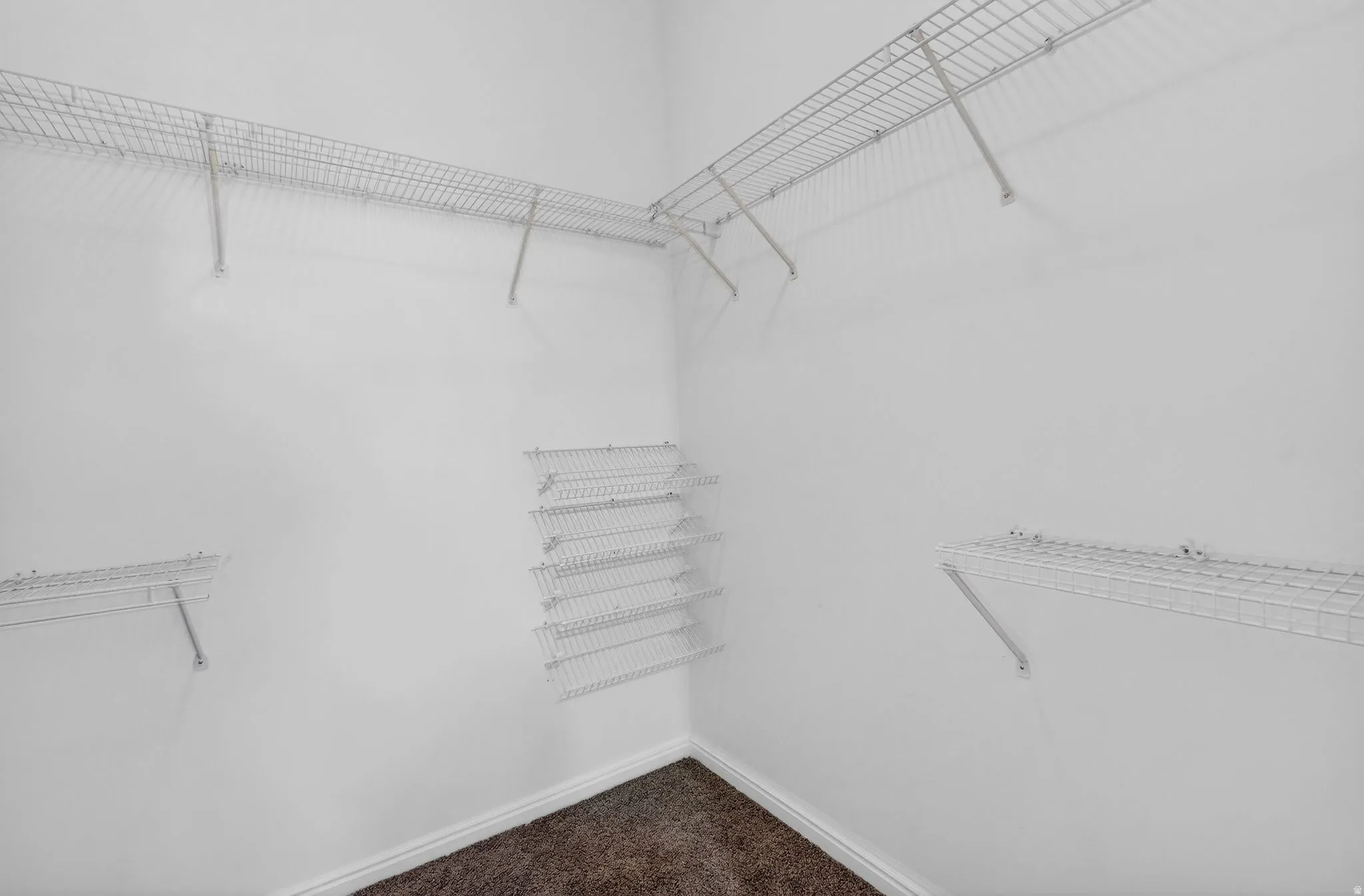 Walk in closet with dark carpet