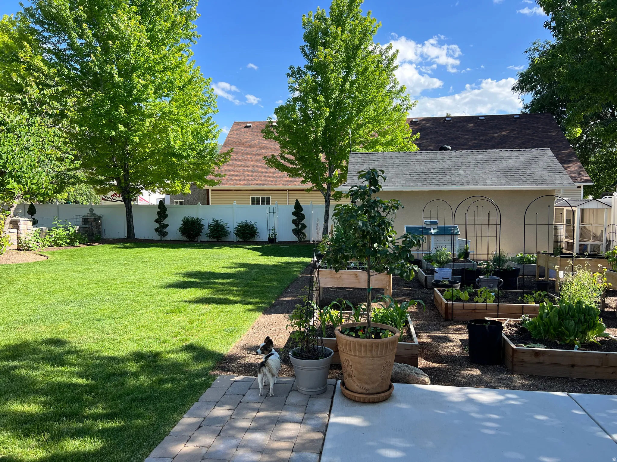 Fenced backyard with a patio and a garden