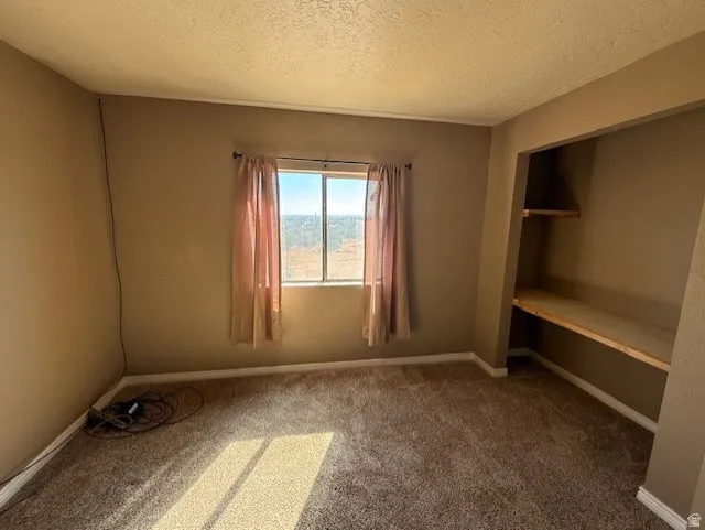 Unfurnished bedroom with a textured ceiling, light carpet, and a closet