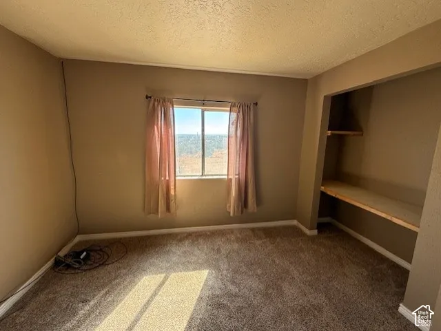 Unfurnished bedroom with a textured ceiling, light carpet, and a closet