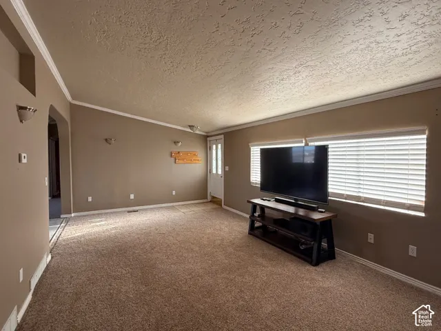 Unfurnished living room featuring arched walkways, light carpet, ornamental molding, and a textured ceiling