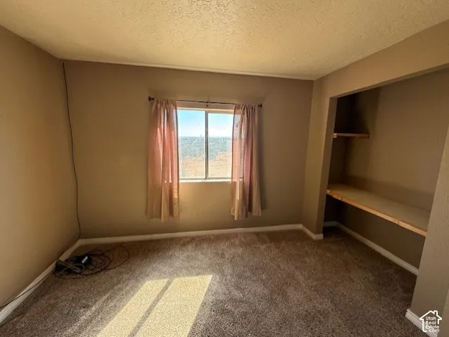 Unfurnished bedroom with a textured ceiling, light carpet, and a closet
