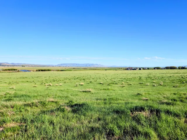 Expansive green field under a clear blue sky, featuring distant mountains, scattered trees, and a small body of water