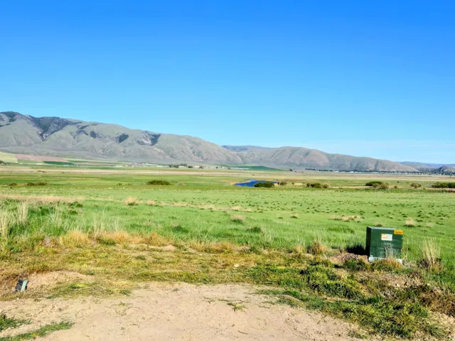 Expansive green landscape with distant mountains