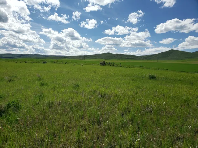View of mountain background with rural landscape