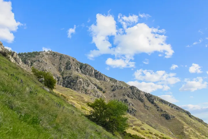 1392 N 1500 E, Provo, Utah 84604