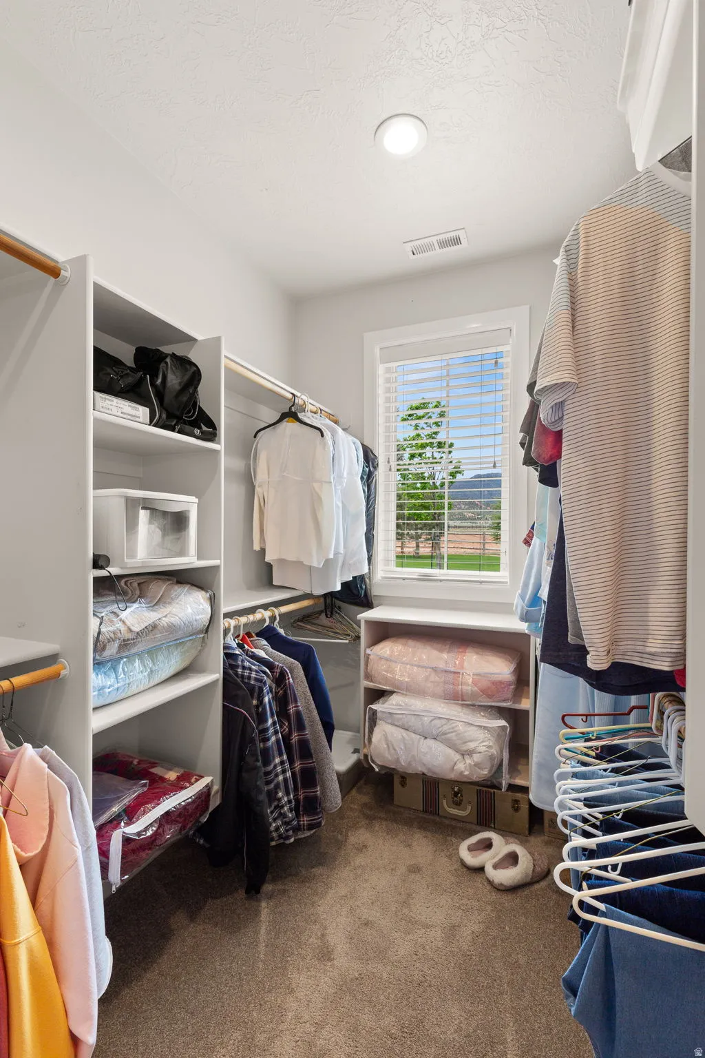 Walk in closet with dark carpet
