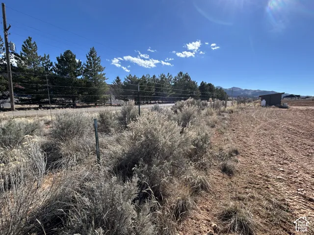 View of yard featuring a view of rural / pastoral area