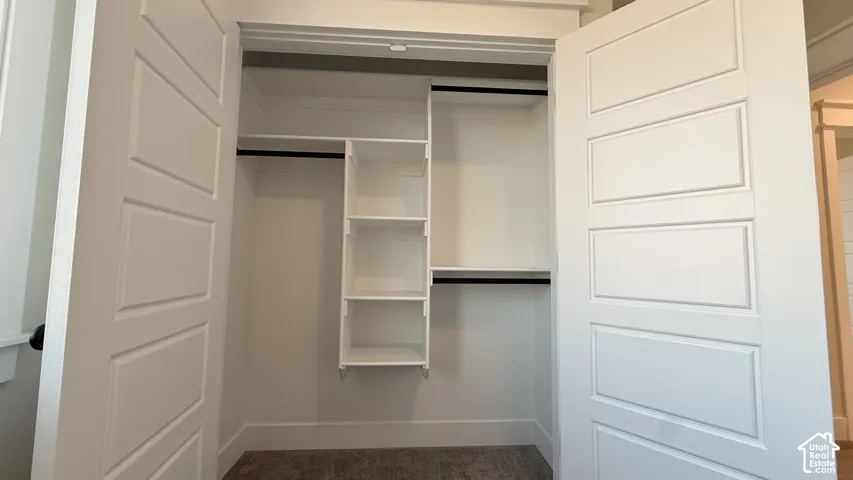 Double doors with four recessed panels, built-in shelving, dual hanging rods, and light-colored carpeting