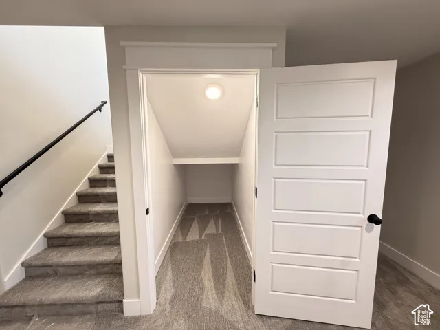 Under-stair storage with an interior light and a built-in shelf