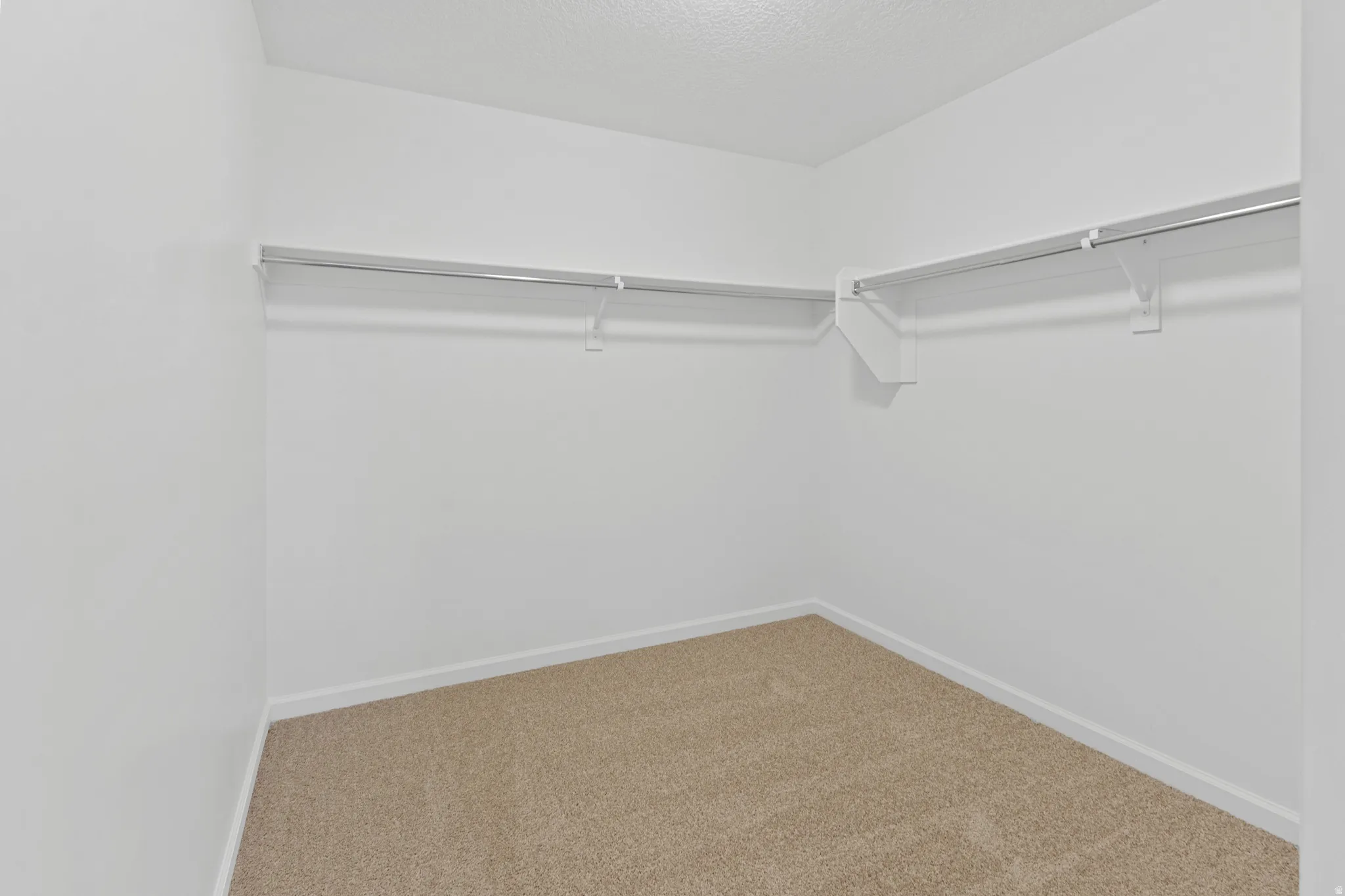 Walk in closet with carpet