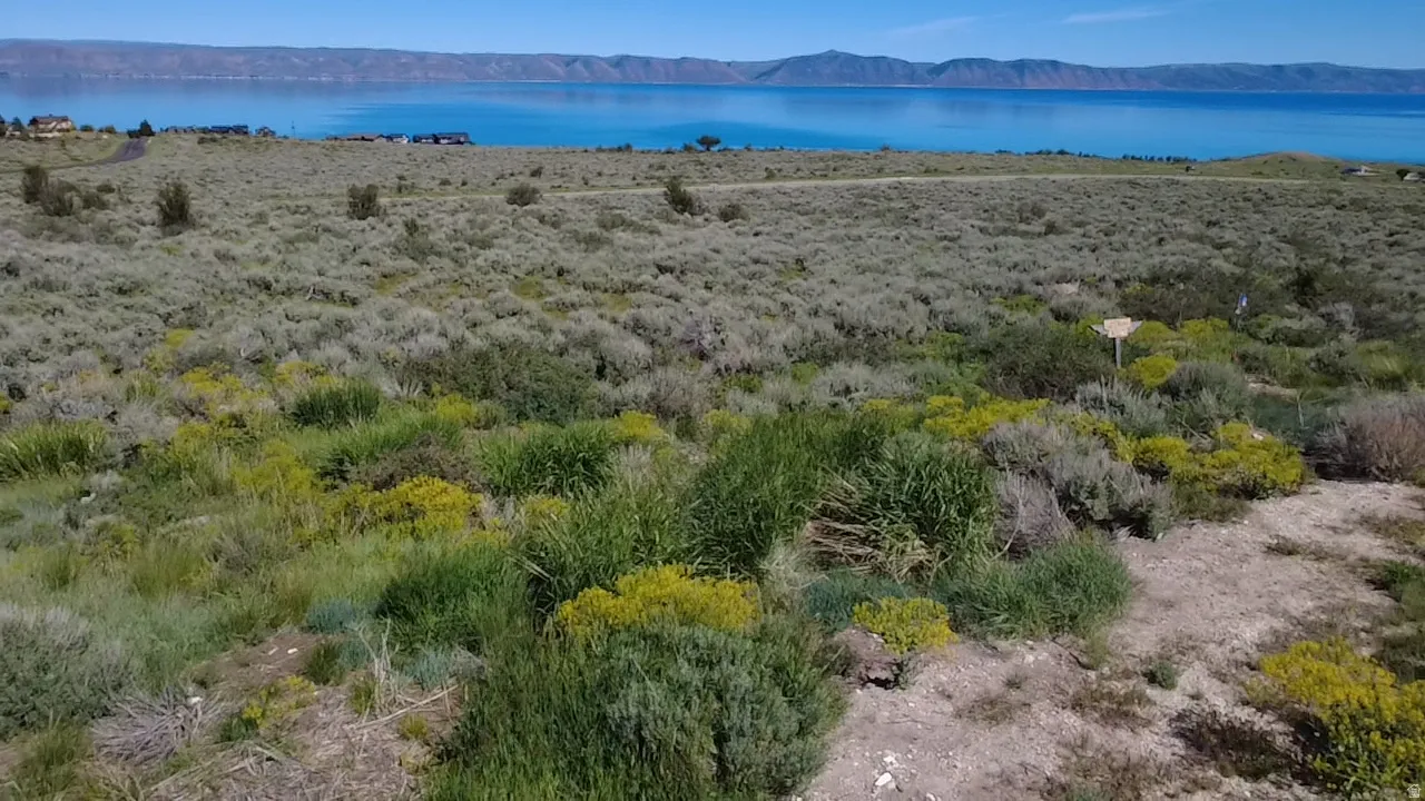 Expansive undeveloped land featuring diverse natural foliage and distant water frontage