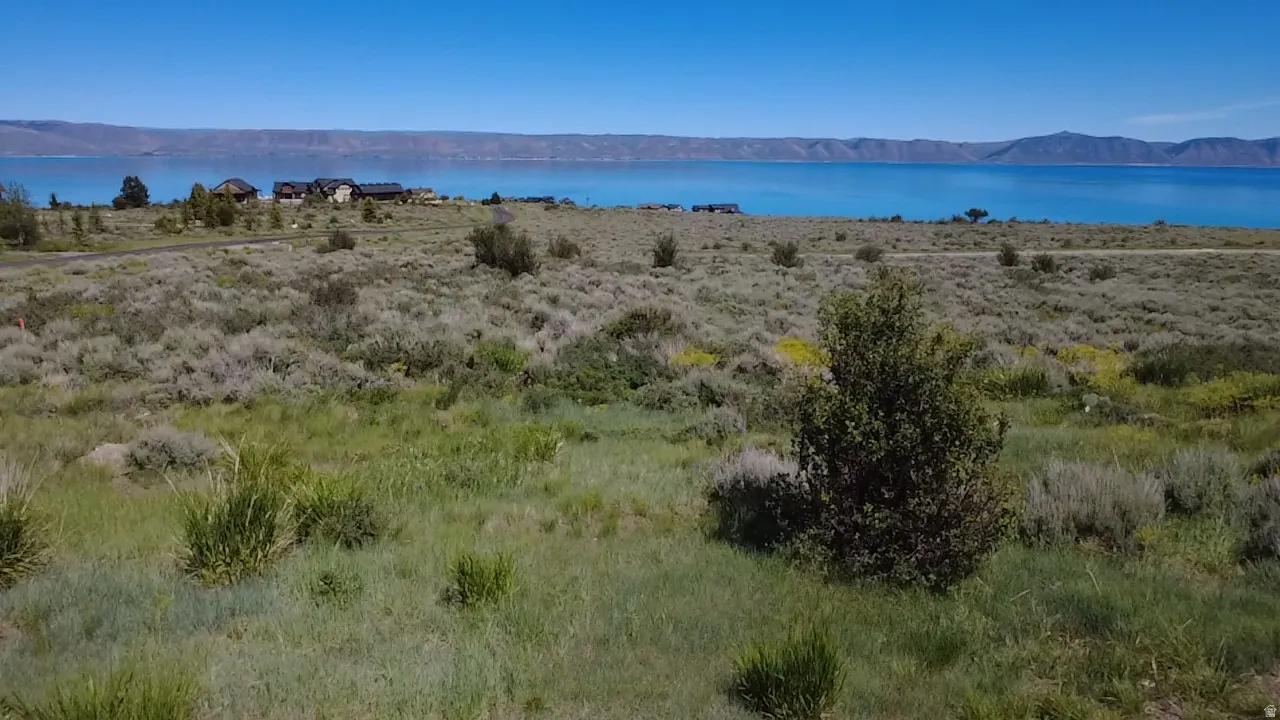 Expansive undeveloped land featuring natural vegetation and water frontage