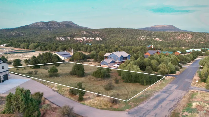 Expansive land parcel featuring mature trees, a paved road frontage, and mountainous terrain in the background