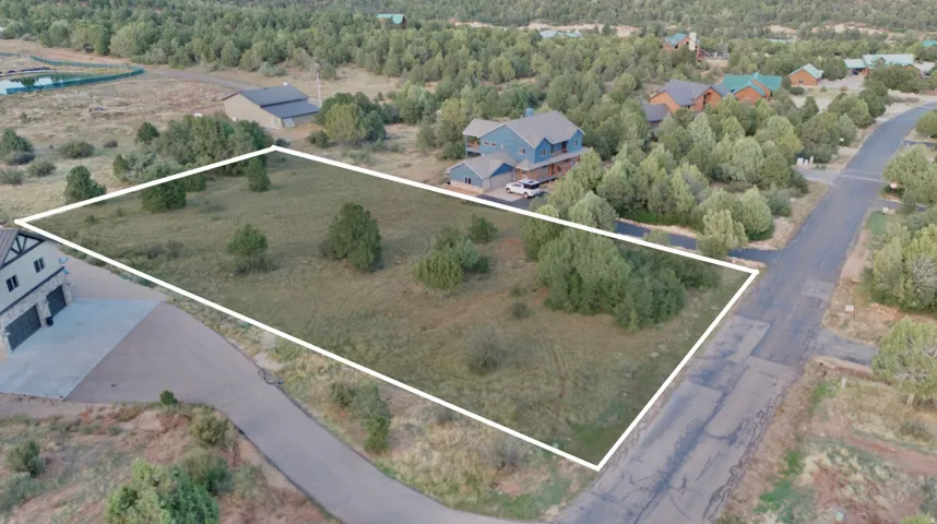 Expansive lot featuring natural landscaping and mature trees