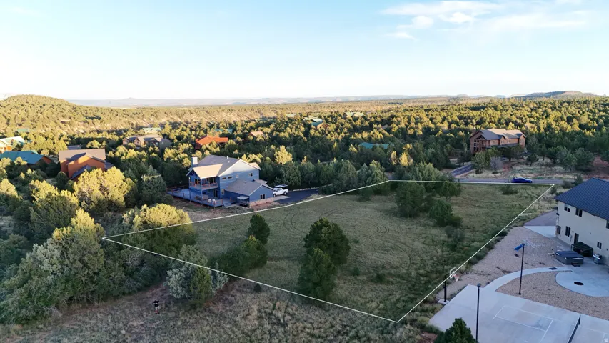 Expansive, undeveloped lot featuring natural vegetation and surrounding mature trees