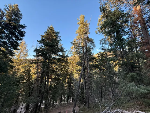 38 Pine Creek Rd, Mt Pleasant, Utah 84647