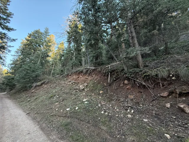 38 Pine Creek Rd, Mt Pleasant, Utah 84647