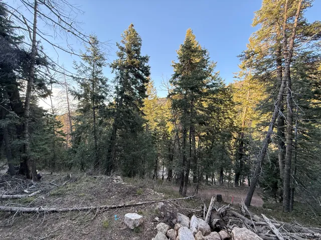 38 Pine Creek Rd, Mt Pleasant, Utah 84647