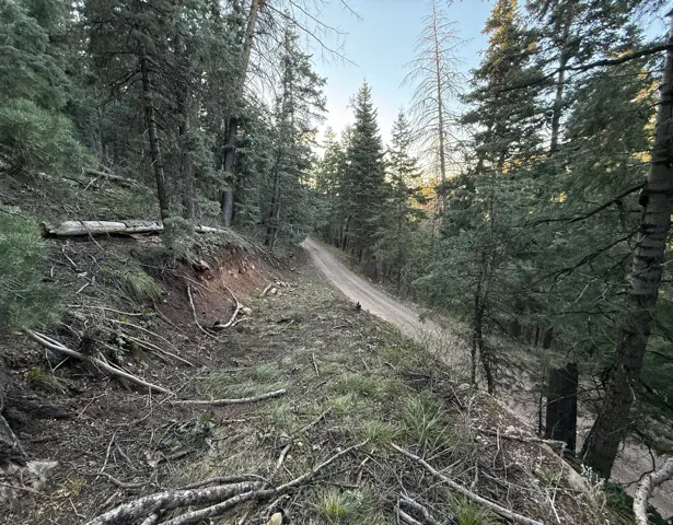 38 Pine Creek Rd, Mt Pleasant, Utah 84647
