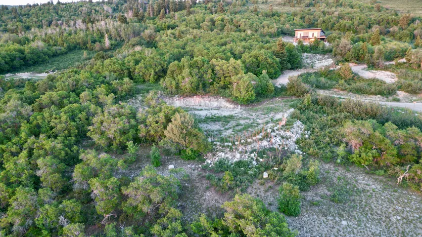 Aerial overview of property's location featuring a heavily wooded area