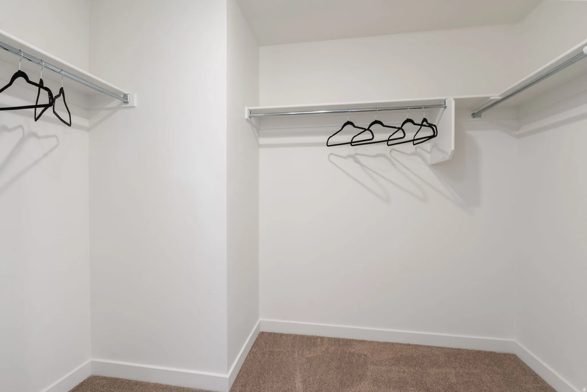 Primary Walk in closet with carpet flooring