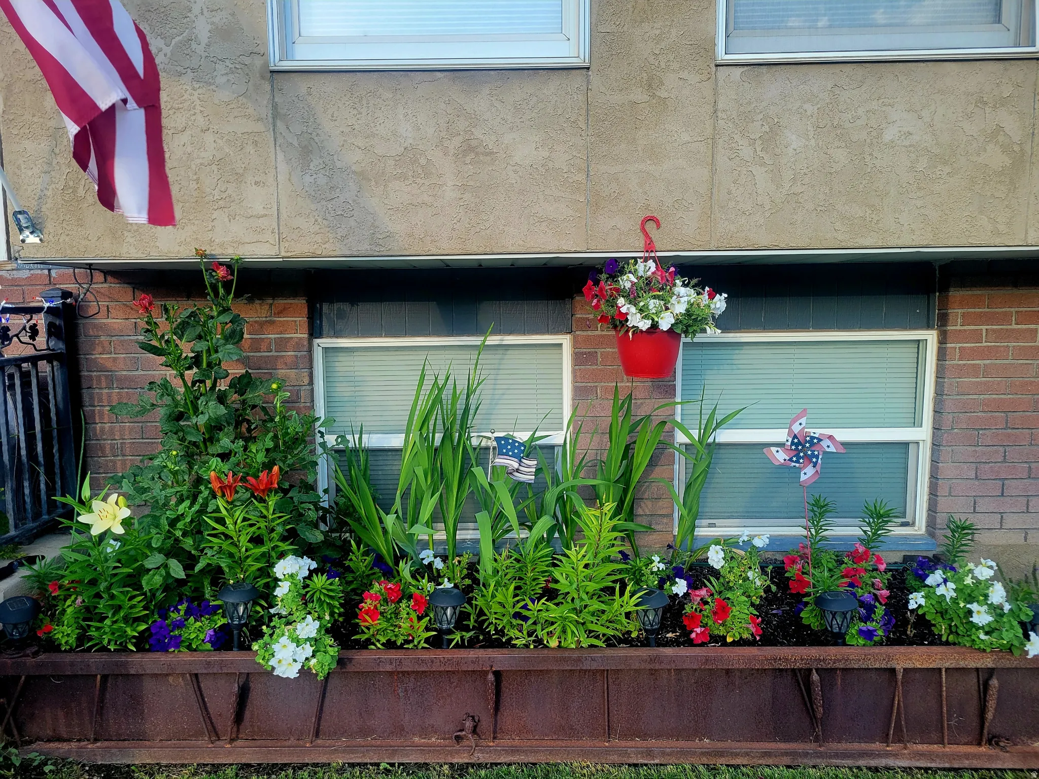 Summer time Perennial blooms