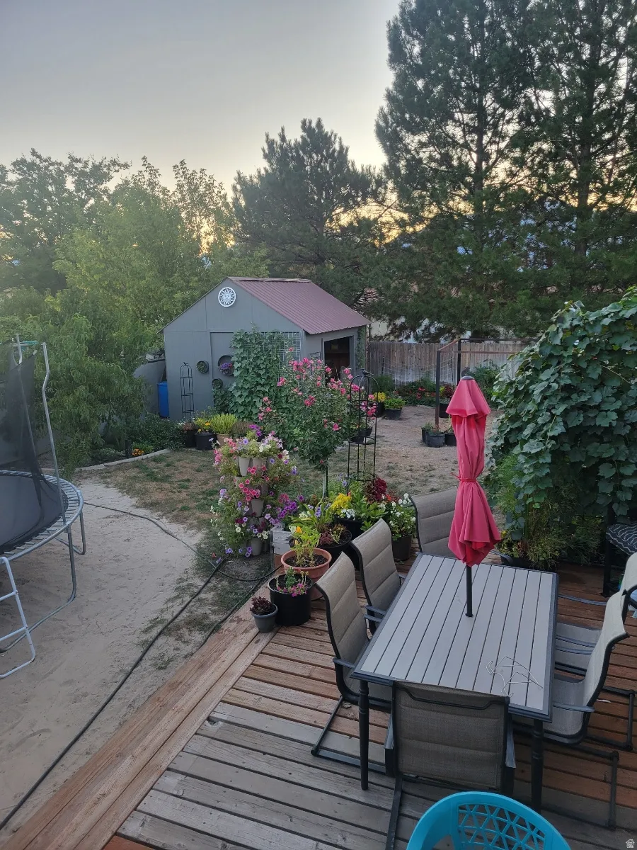 Summer Time Perennial flowers, herbs & grapevine throughout the yard