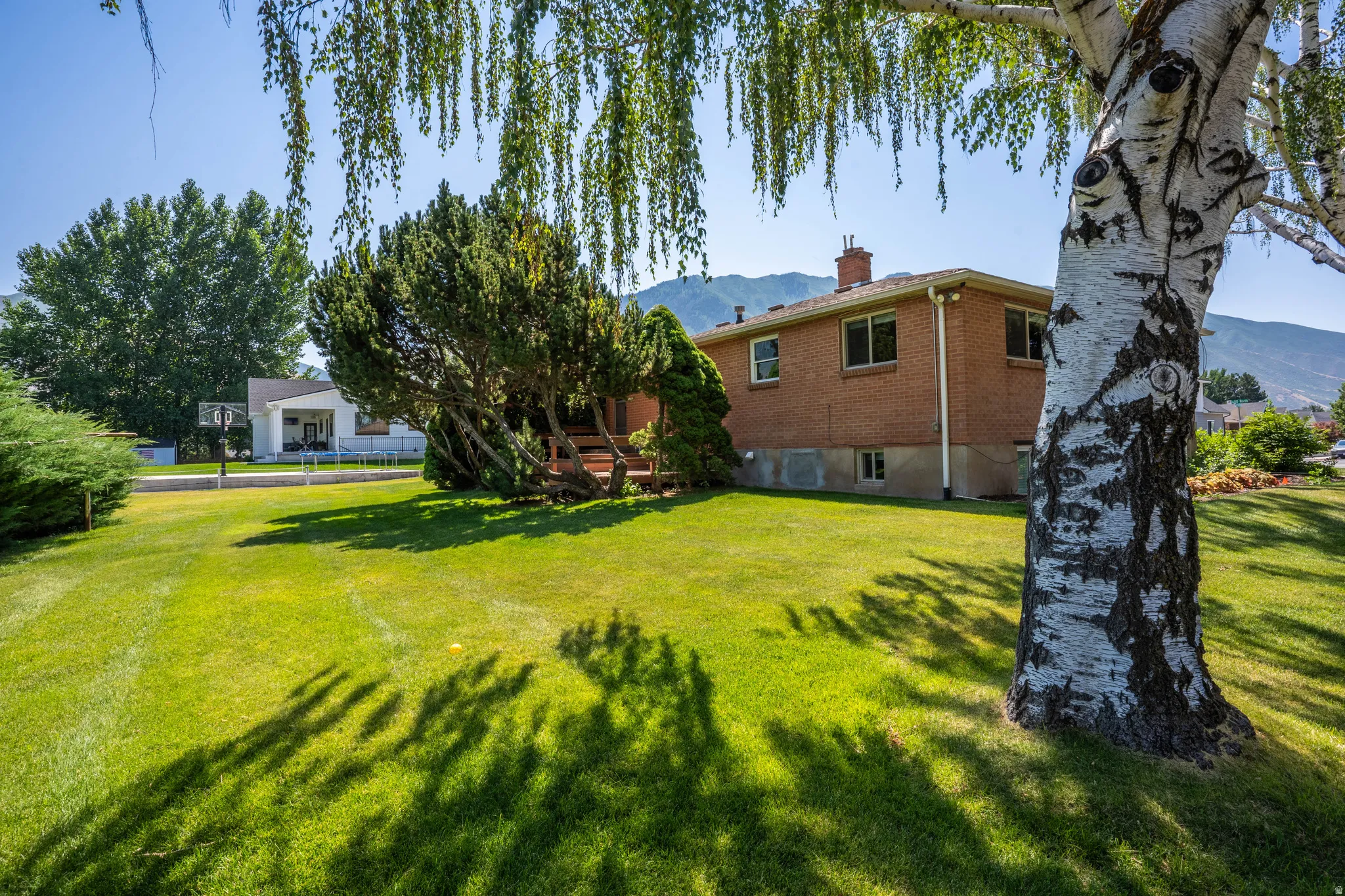 View of grassy yard with a mountain view
