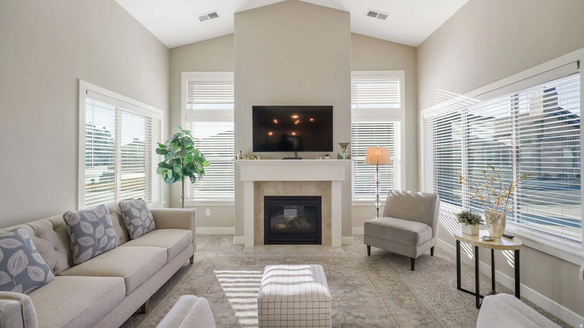 Carpeted, vaulted ceilings, fireplace