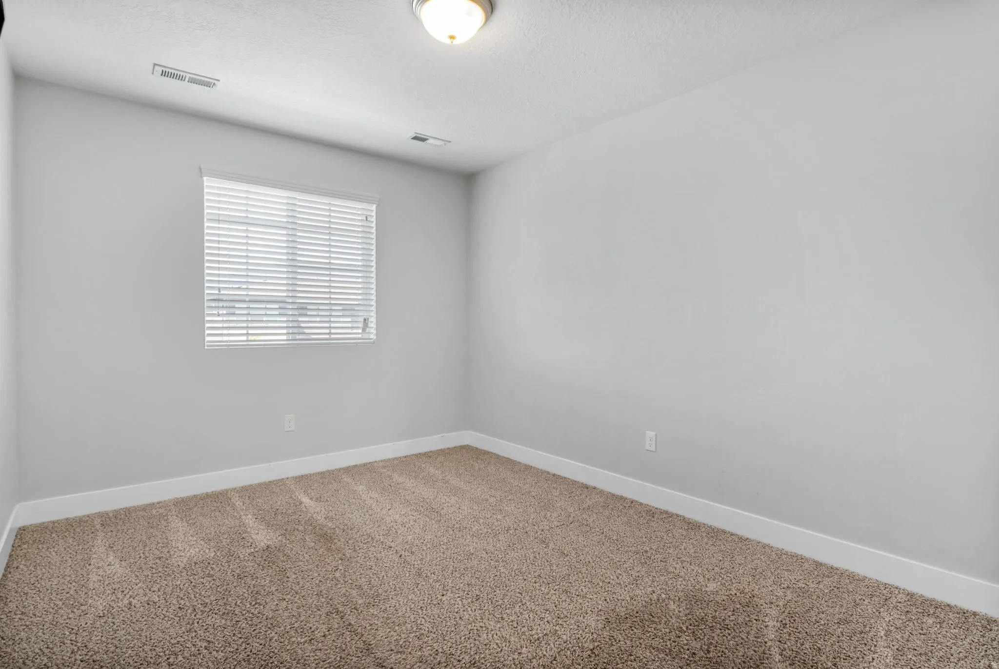 Neutral-toned room featuring a single window with horizontal blinds, light tan carpeting, white baseboards, and a flush-mount ceiling light fixture