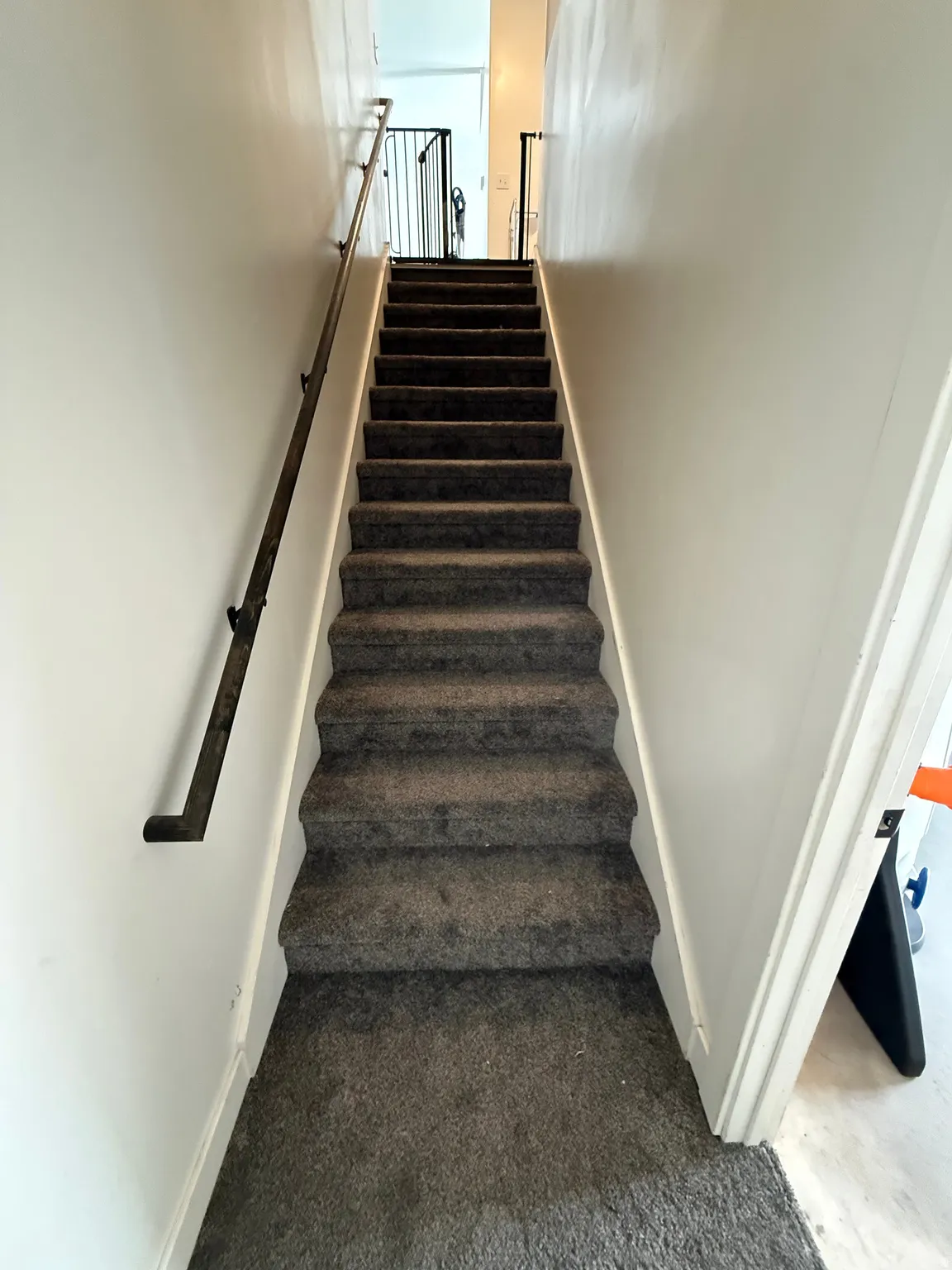 Stairs with carpet flooring